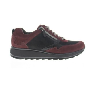 Durea 6261/685 H 0619 Bordo